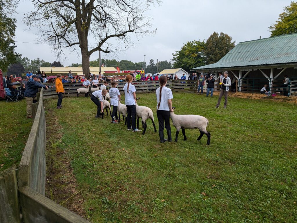 Highgate Fair
