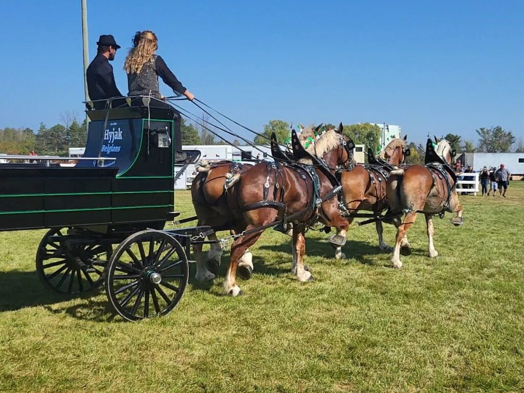 Great Northern Exhibition - Blue Jeans and Country Dreams
