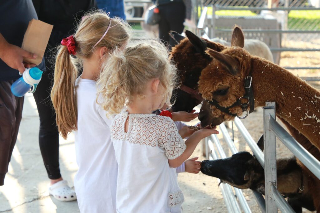 Forest Fall Fair