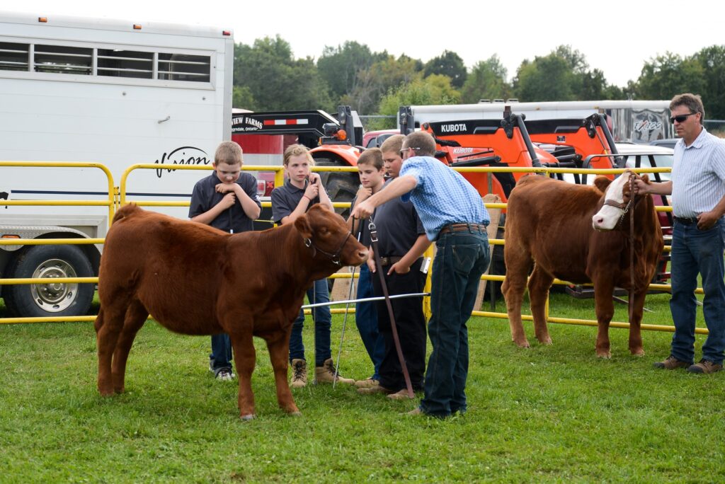 Thorndale Fall Fair