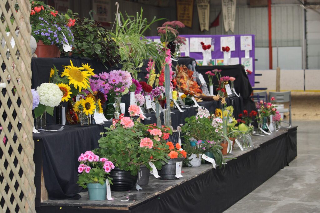 Rocklyn Fall Fair