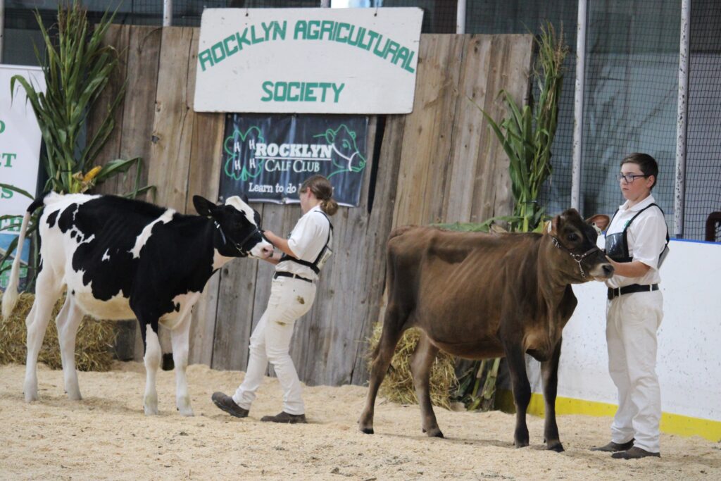 Rocklyn Fall Fair