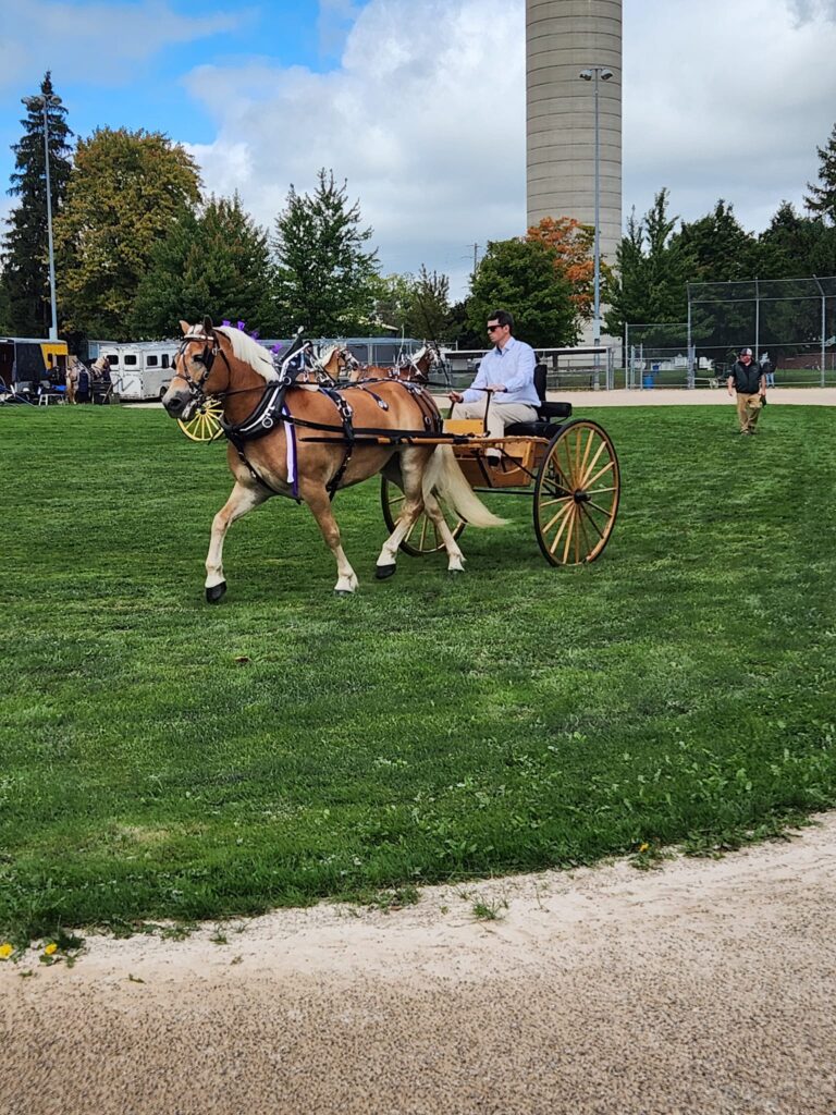 Tavistock Fall Fair
