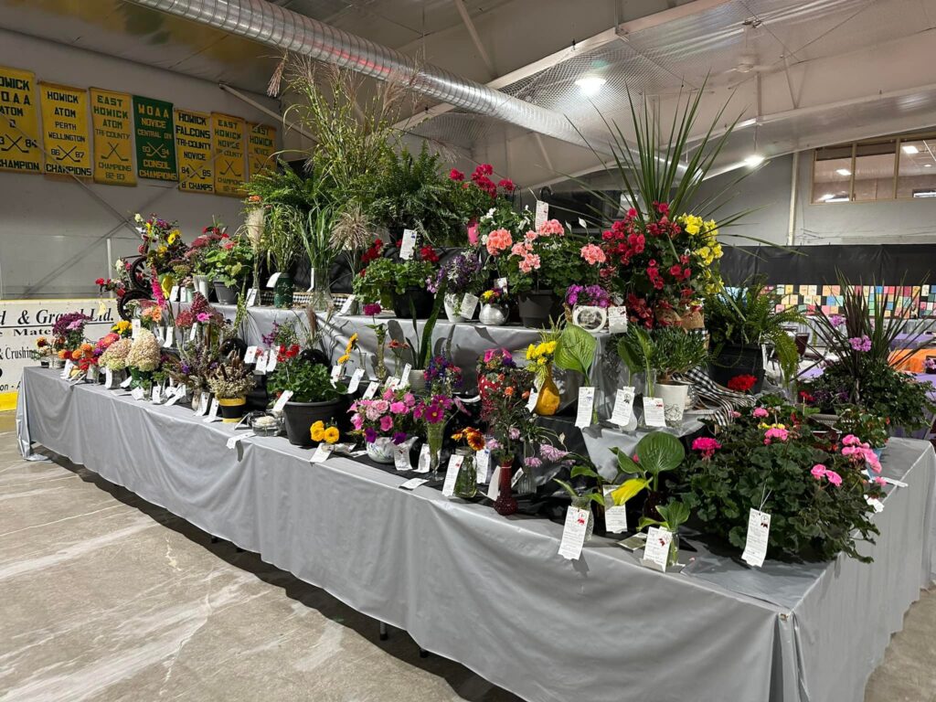 Howick Turnberry Fall Fair