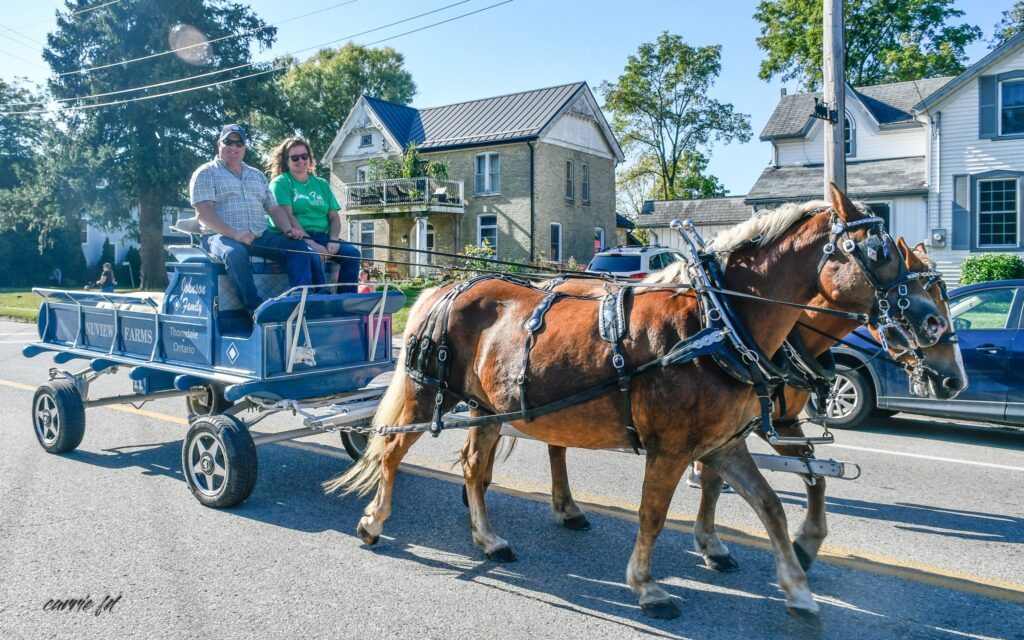 Glencoe Fair