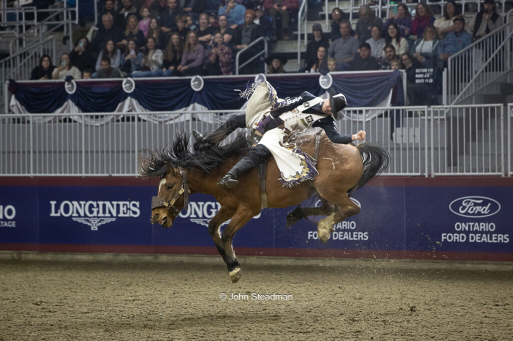 Royal Agricultural Winter Fair