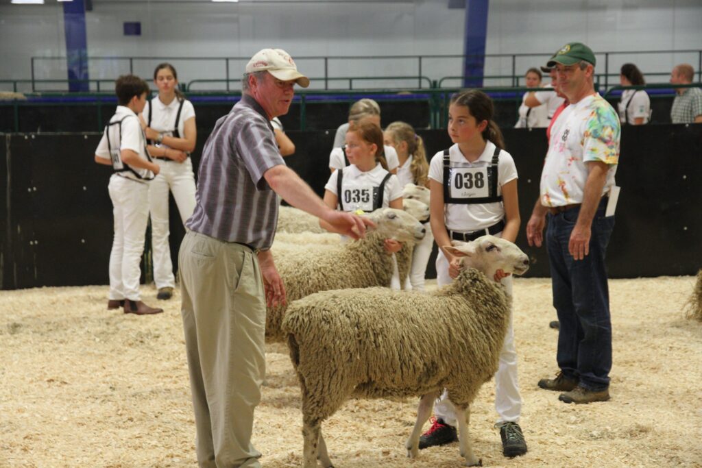 Bolton Fall Fair