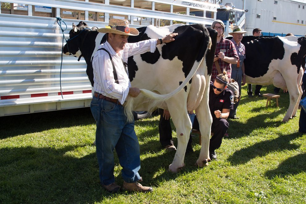 Woodbridge Fall Fair