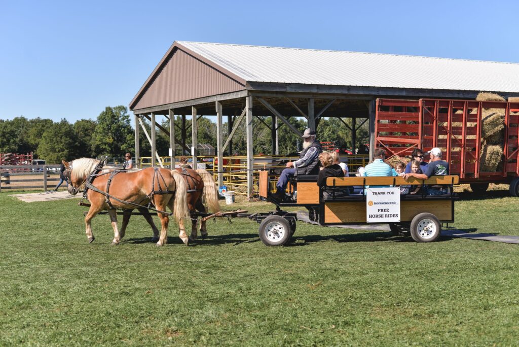 Thorndale Fall Fair