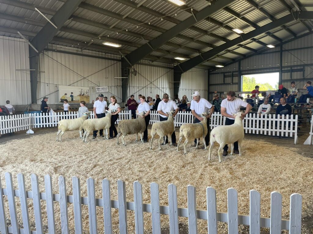 Metcalfe Fair