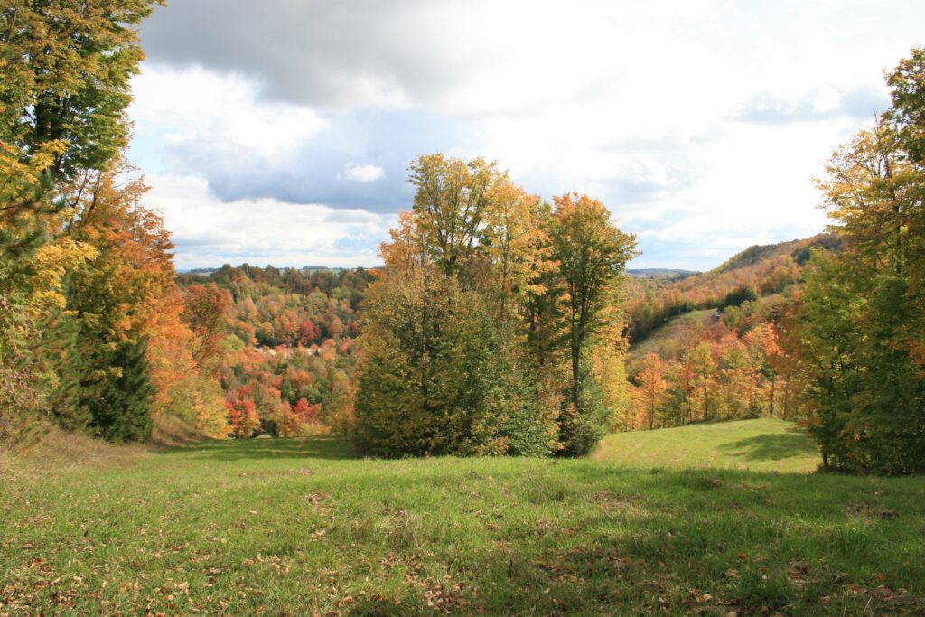 Discovering Clearview - Fall Fields