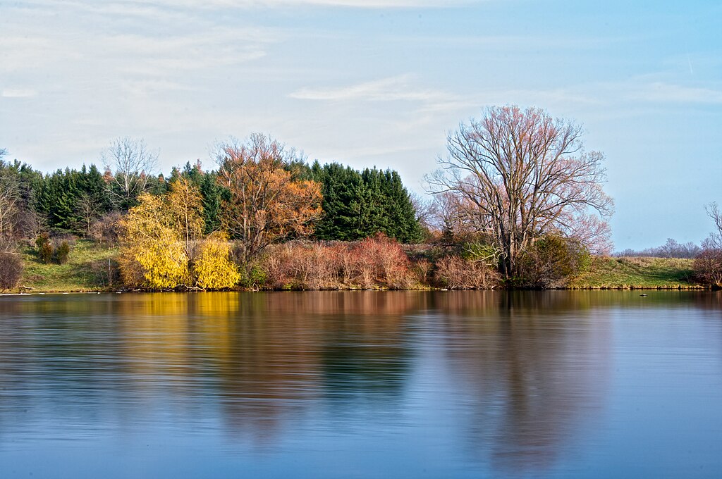 Fanshawe Conservation Area - Fall in The Forest City