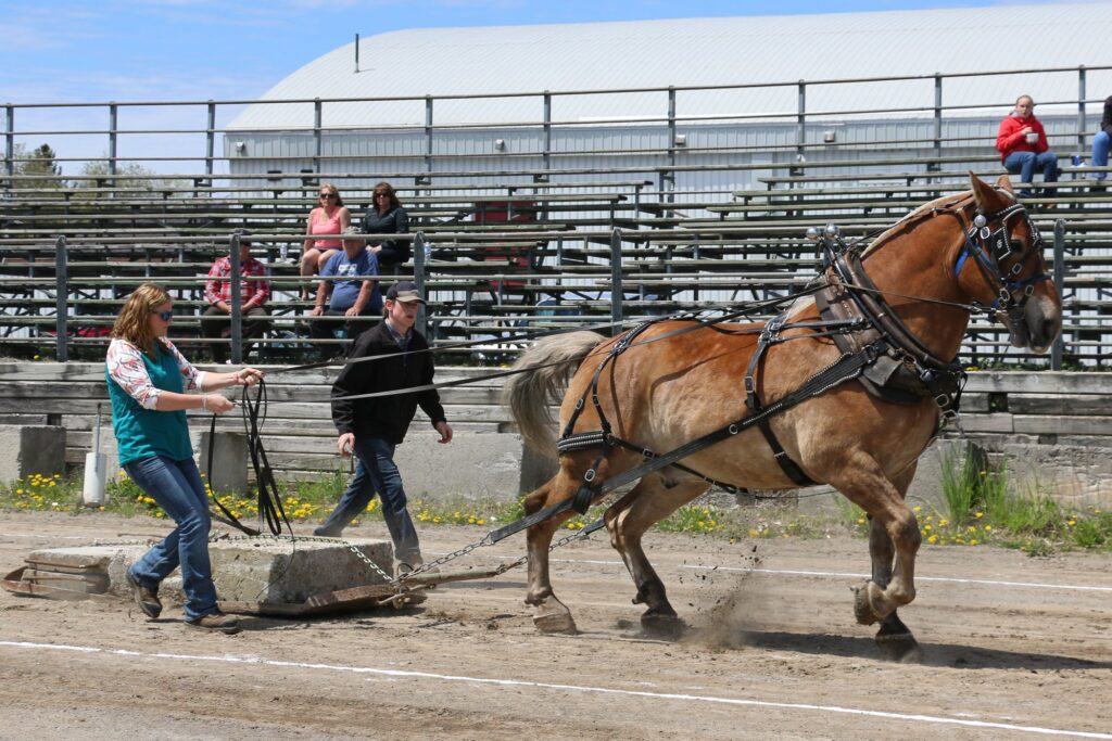 Haliburton County Fair