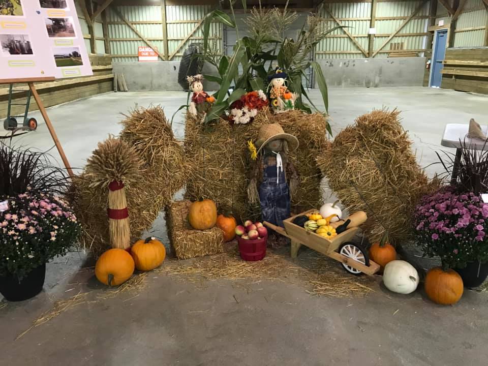 Thanksgiving Display