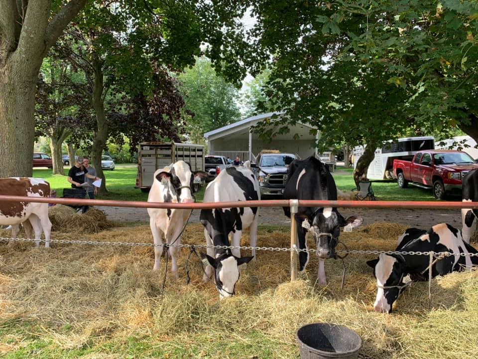 Acton Fall Fair