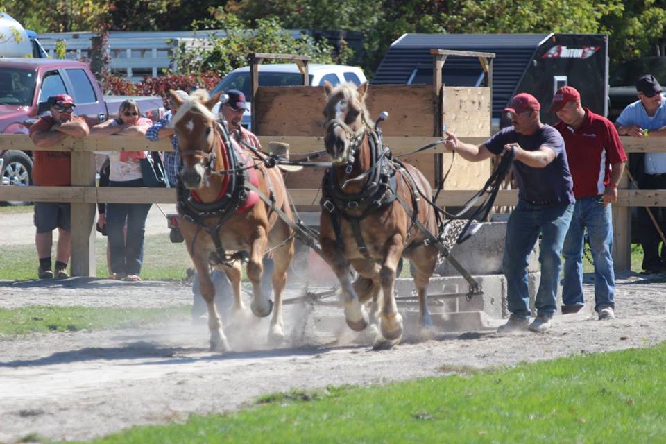 Roseneath Fall Fair