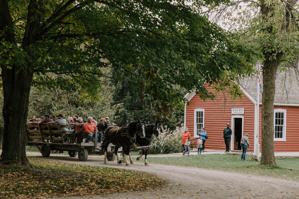 Applefest at Lang Pioneer Village
