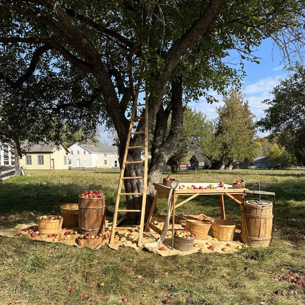 Applefest at Lang Pioneer Village Museum