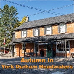 Destination – Autumn in York Durham Headwaters