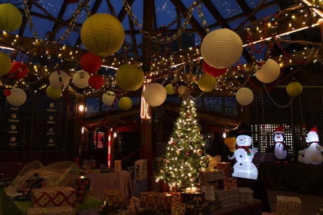 Christmas in YDH - Magical Christmas Forest at Kortright Centre