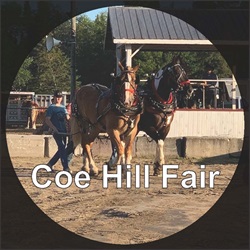 OAAS News – Coe Hill Fair