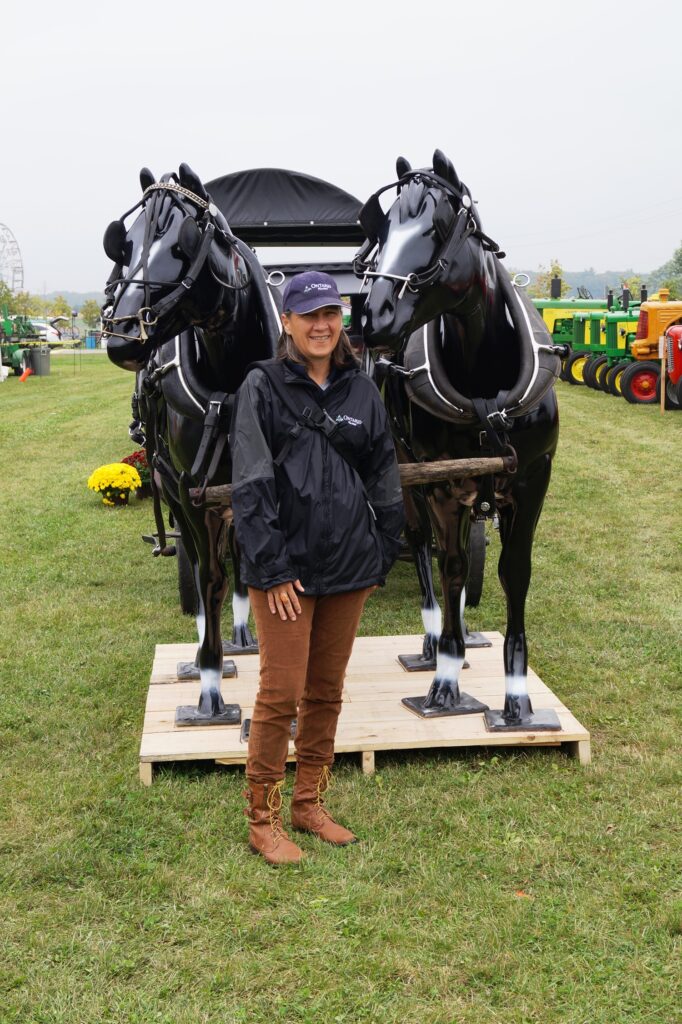 Horse display