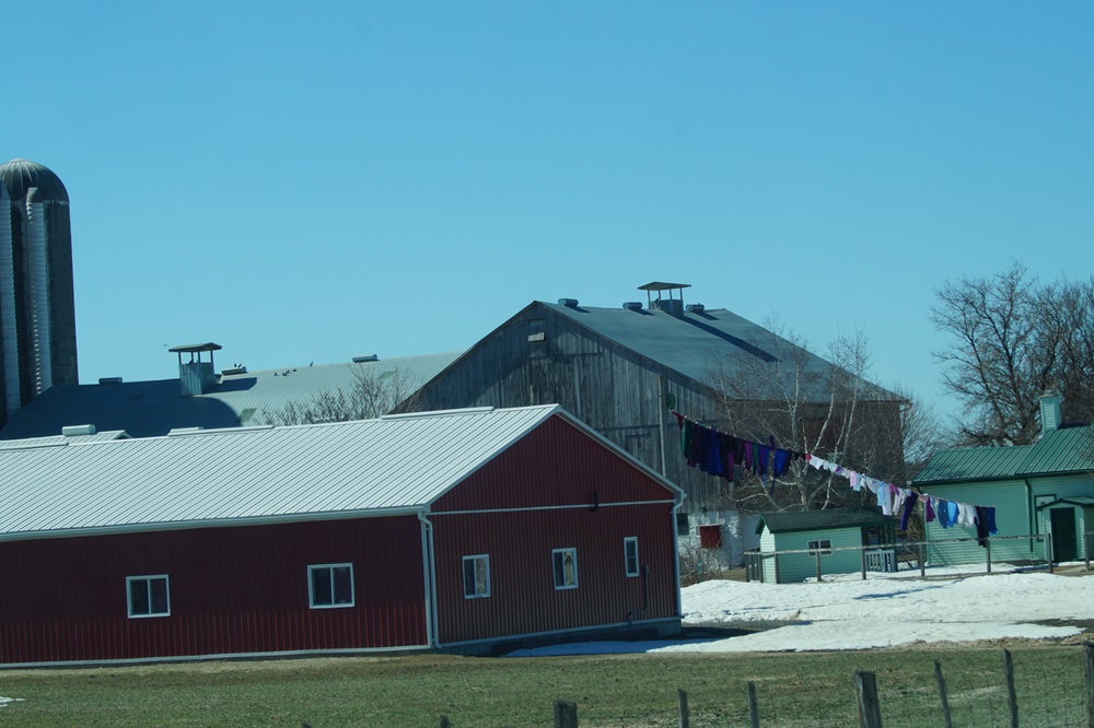 Ontario Barns in winter