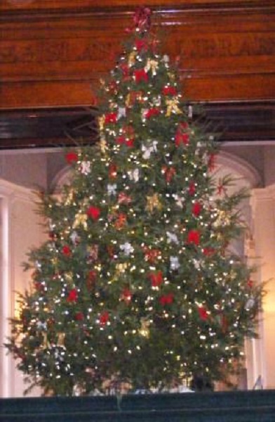 A Christmas tree shines brightly at Queen's Park