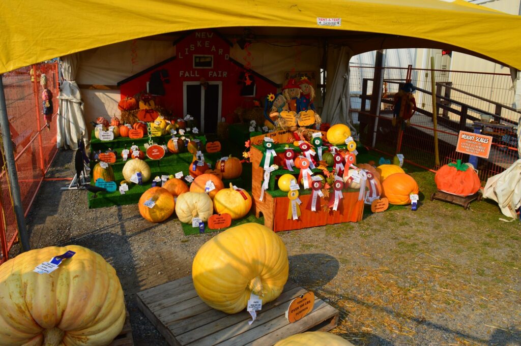 New Liskeard Fall Fair - Pumpkin Patch
