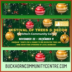 Festival of Trees and Decor Buckhorn Community Centre 2024