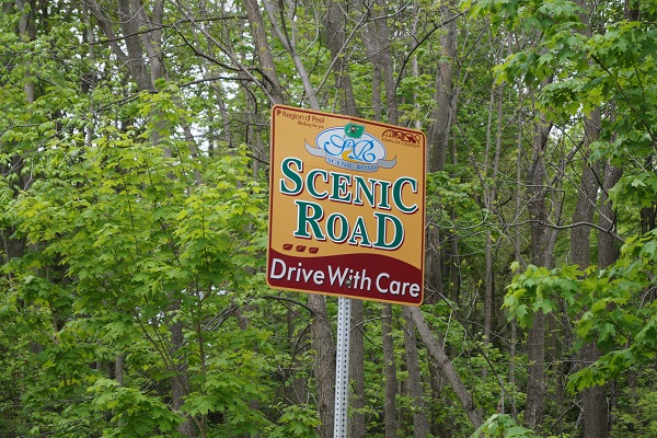 Scenic Forks of the Credit