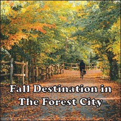 Fall Destination in The Forest City