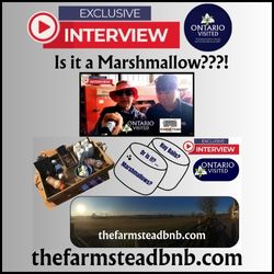 Marshmallows? … Hay Bails? …
