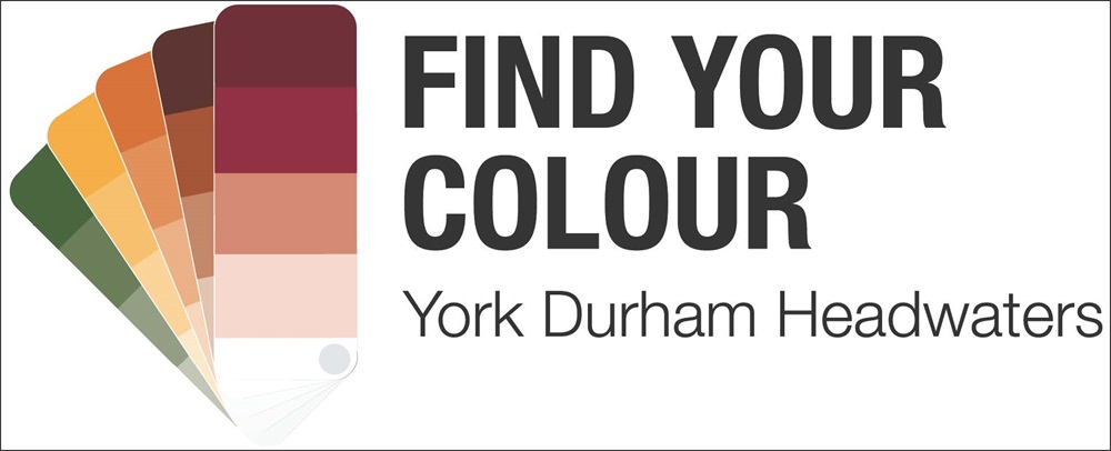 YDH Fall Find Your Colour Poster