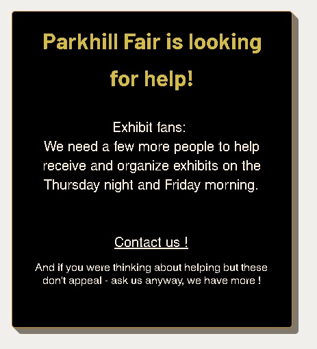Need Help poster Parkhill Fair