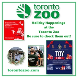 Toronto Zoo Holiday Marketplace 2025