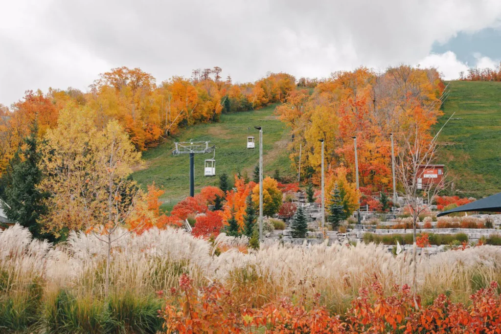 Discovering Clearview - Ski Hills in the Fall