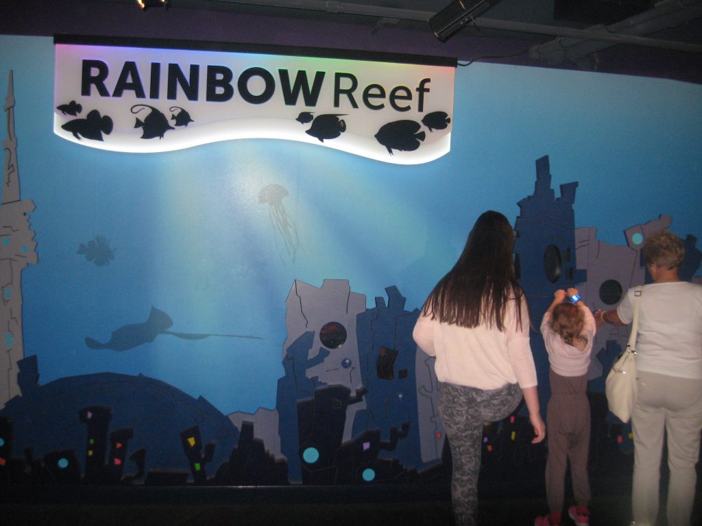 Rainbow Reef display