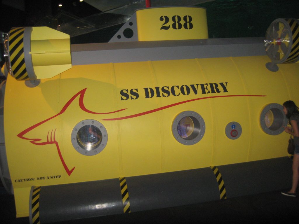 SS Discovery photo