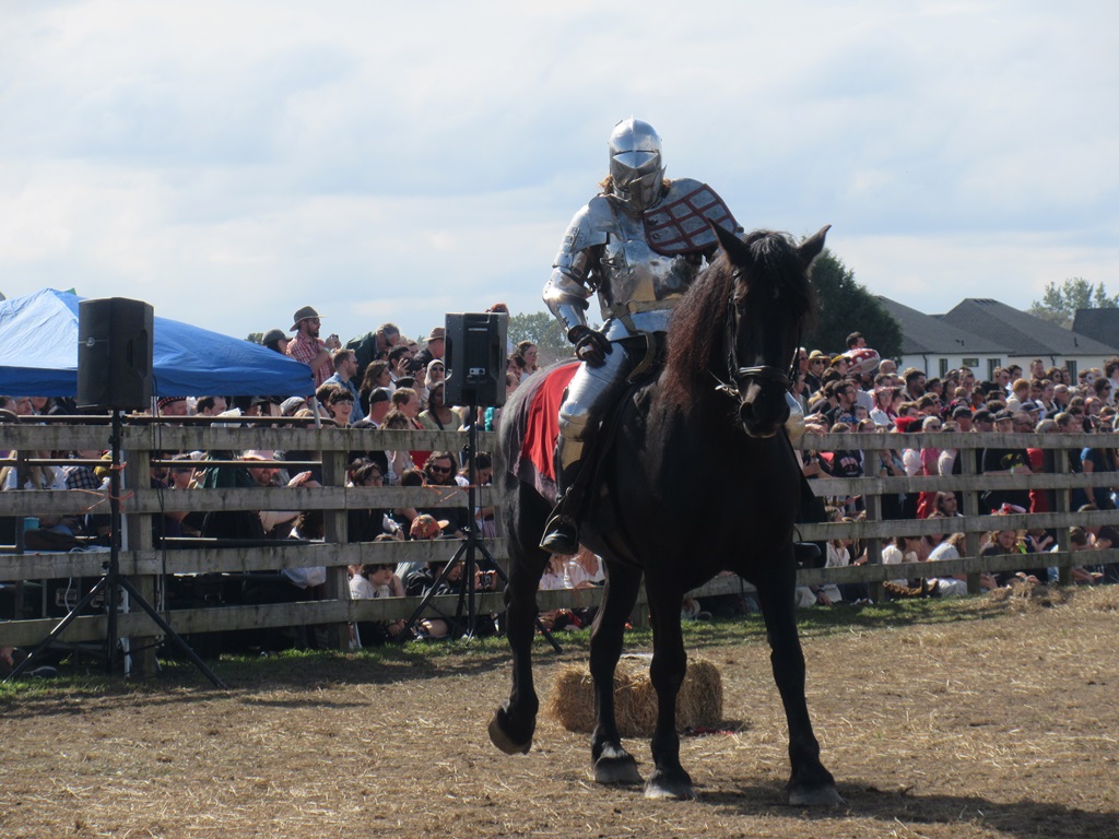 Knights of Valour