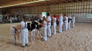 Judging takes place at the Maxville Fair