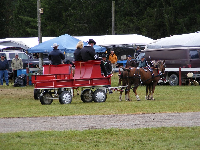 Horse and wagons being judged