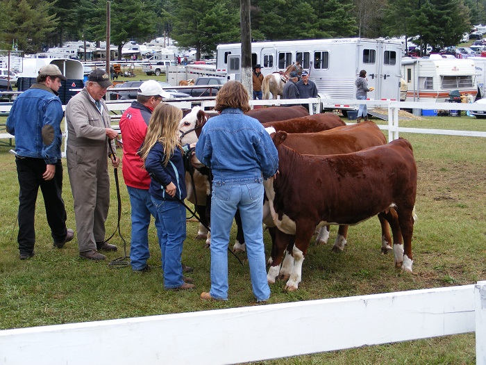 and the winner is, at the Kinmount Fair