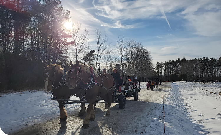 Christmas in Mississippi Mills - Kintail Country Christmas