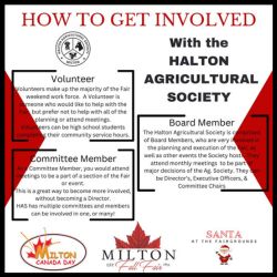 How to Get Involved