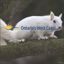 Ontario’s West Coast – Fall Destination