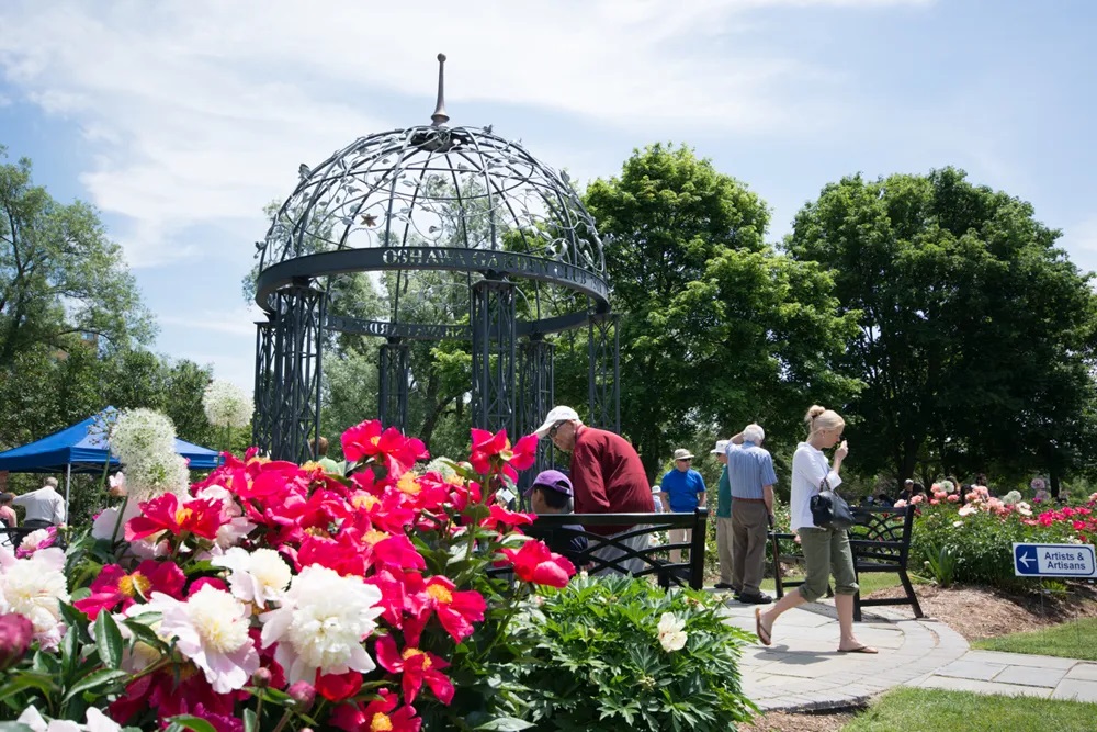 Peony Festival