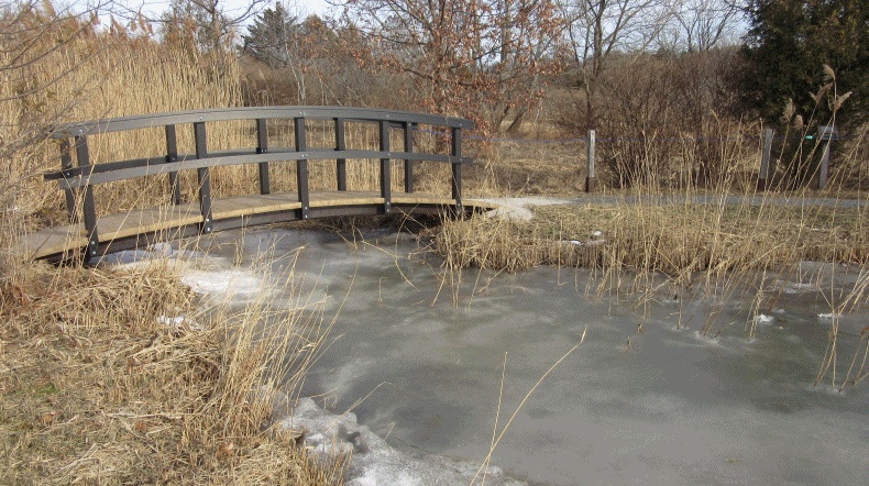 Spring and Summer in Oshawa - Wildlife Reserve