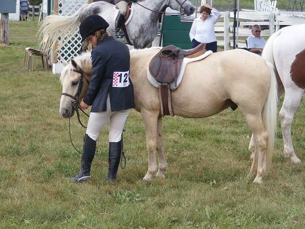 Many Ontario Agricultural Fairs have equestrian competitions