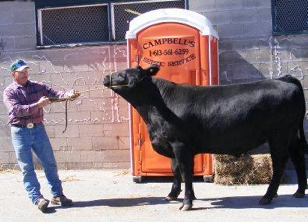 Exploring Ontario Fairs